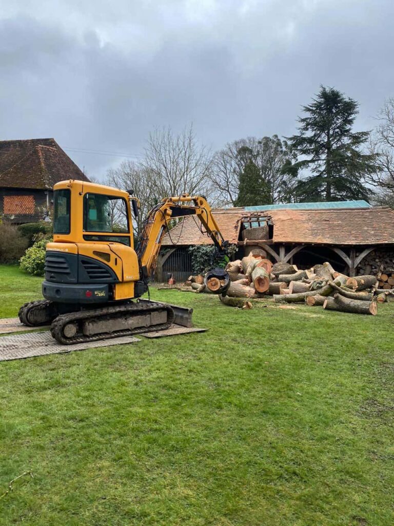 This is a photo of a tree which has grown through the roof of a barn that is being cut down and removed. There is a digger that is removing sections of the tree as well. Gamston Tree Surgeons