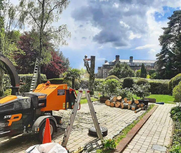 This is a photo of a tree being felled. A tree surgeon is currently removing the last section, the logs are stacked in a pile. Gamston Tree Surgeons