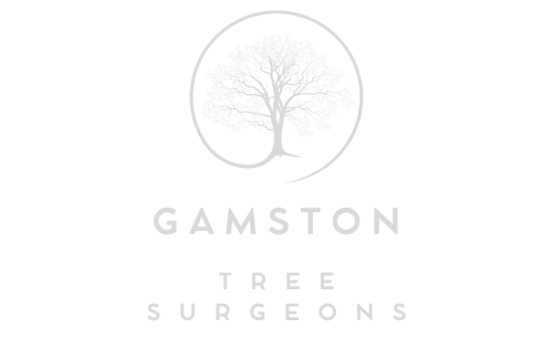 Gamston Tree Surgeons
